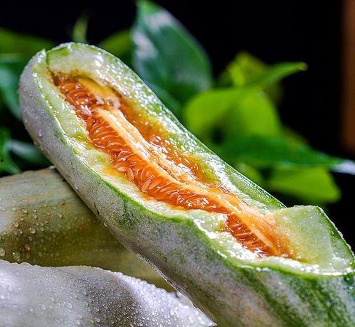 吃瓜所有网红,揭秘网络红人的幕后生活  第1张